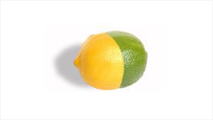 Hybrid Maintenance - lemon and lime merged together