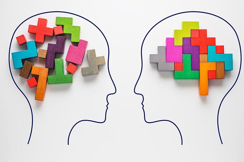 Outline of two heads each with colorful blocks inside to represent different types of brains