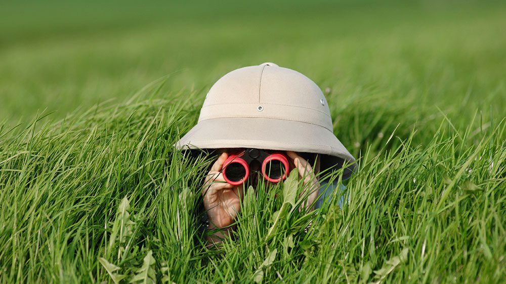Explore Options Featured Image - Boy with Safari hat and binoculars