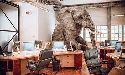 Elephant sitting inside an office.