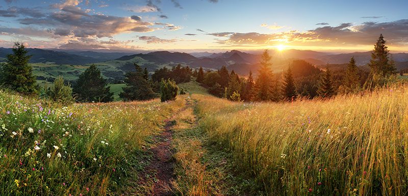 Path through meadow with view of green hills, trees and sunrise.